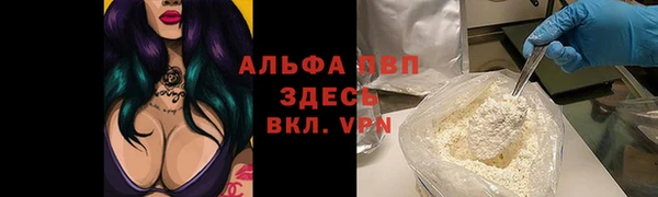 дмт Алексин