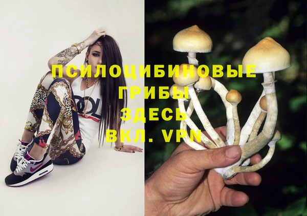 спайс Алексеевка