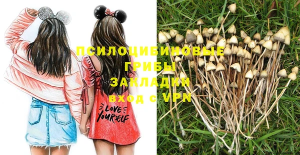 спайс Алексеевка
