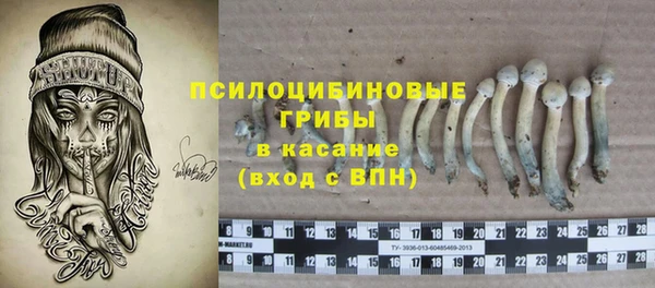 дмт Алексин