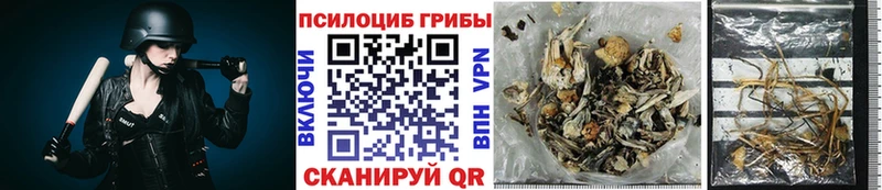 Галлюциногенные грибы Magic Shrooms Чаплыгин
